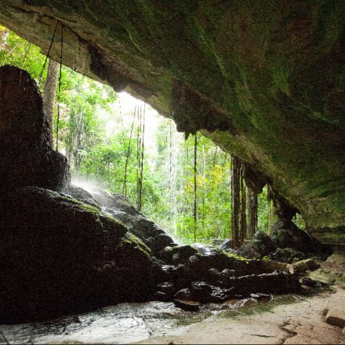 nature